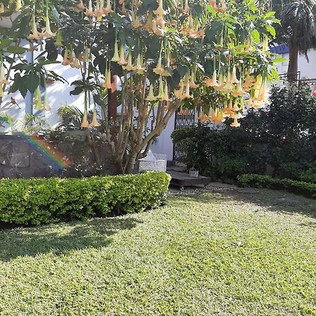 Figtree Guesthouse マプト エクステリア 写真