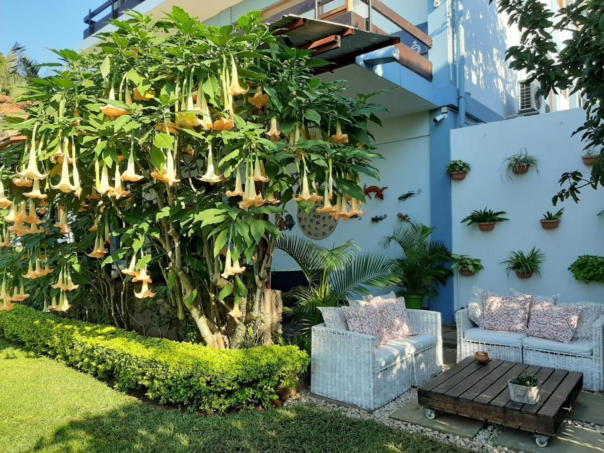 Figtree Guesthouse マプト エクステリア 写真