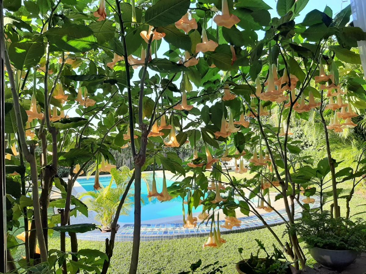 Figtree Guesthouse マプト エクステリア 写真
