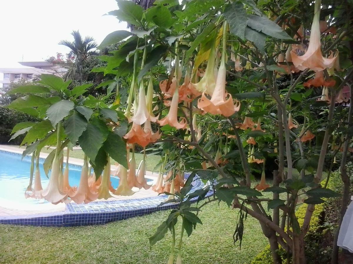Figtree Guesthouse マプト エクステリア 写真