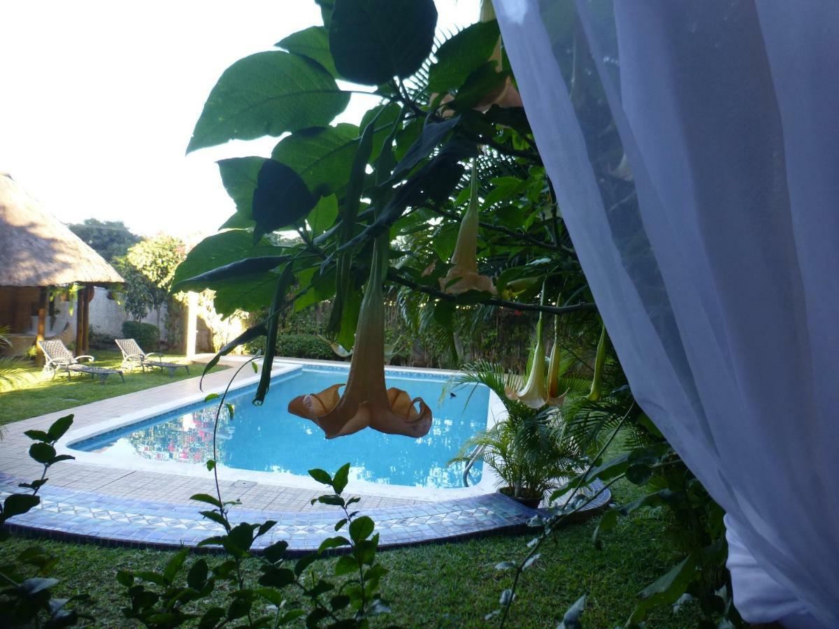 Figtree Guesthouse マプト エクステリア 写真